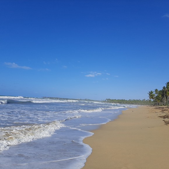 Meet your Posher, Lana - Picture 1 of 1